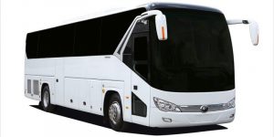 Read more about the article Bus Rental in Ajman