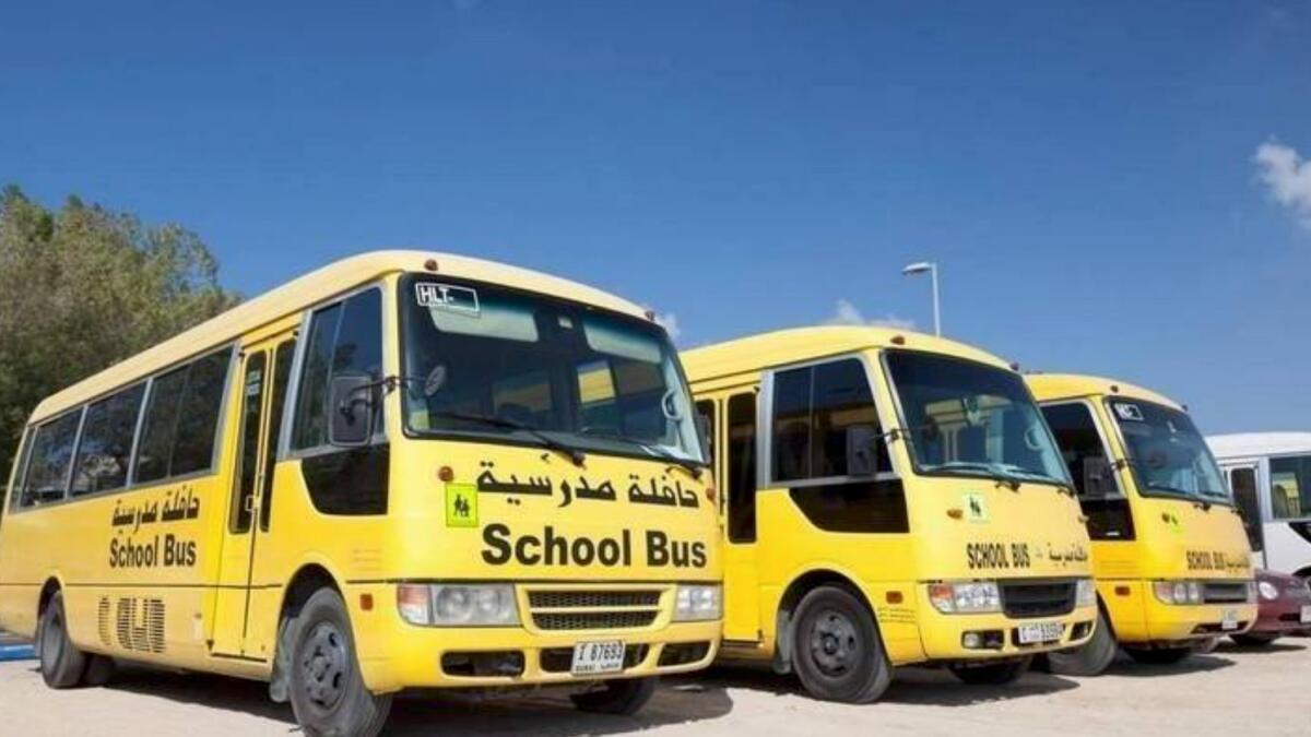 School Bus Transport