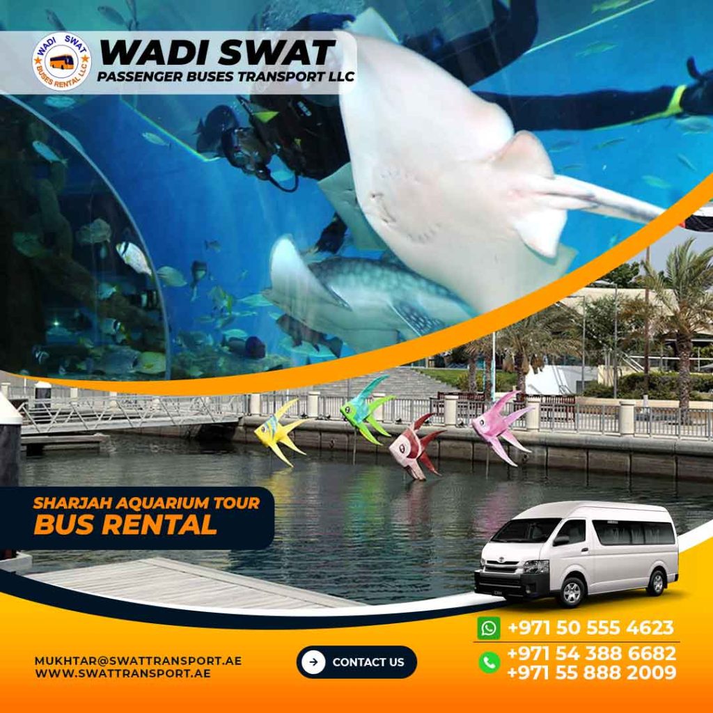 sharjah aquarium vs dubai aquarium