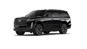 Picture of 7 Seater Car For rent